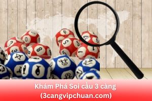 ảnh đại diện soi cầu 3 càng